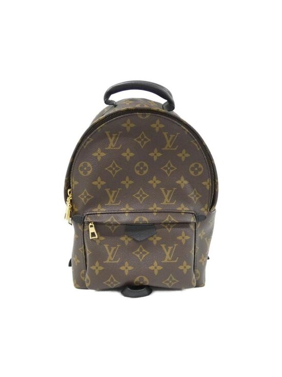 Louis Vuitton Monogram Palm Spring Backpack PM Sac main image 8